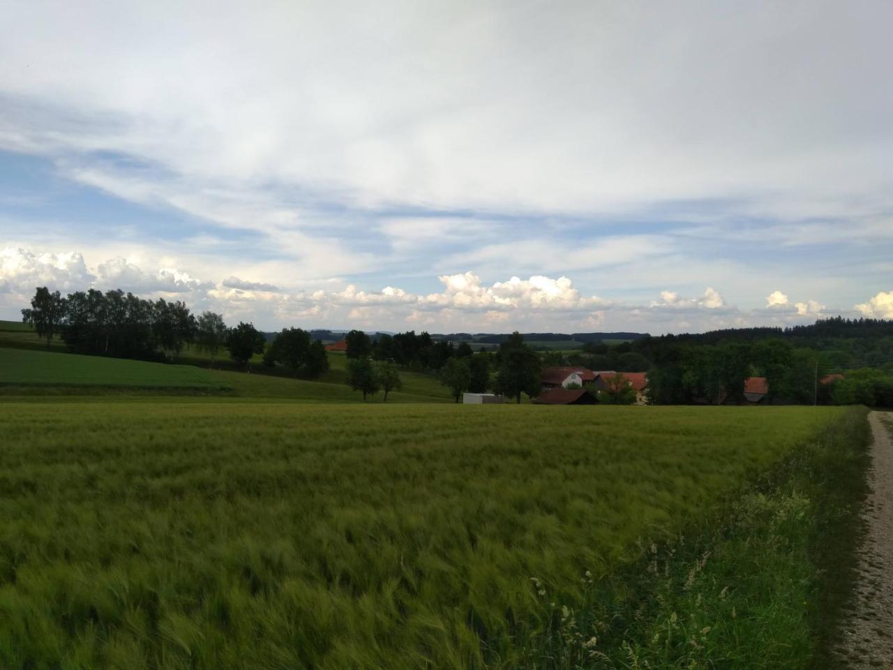 Gasthaus Schachinger Tumeltsham Luaran gambar